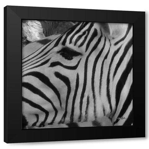 IntoThe Wild 1 Black Modern Wood Framed Art Print with Double Matting by Stimson, Diane