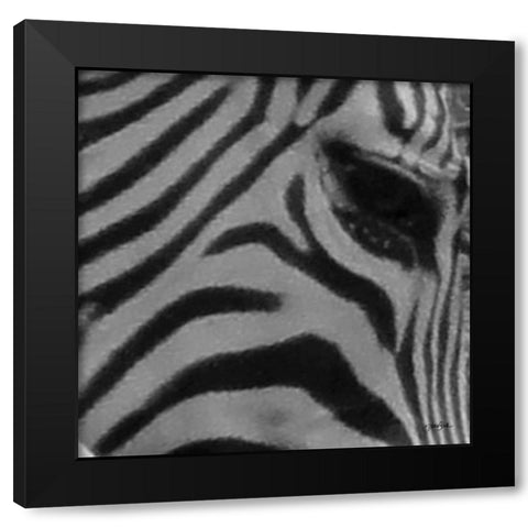 IntoThe Wild 5 Black Modern Wood Framed Art Print by Stimson, Diane