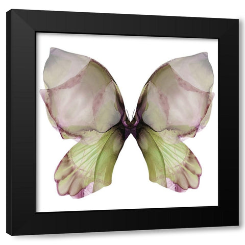 Floral Butterfly 1 Black Modern Wood Framed Art Print with Double Matting by Debs, Emma Catherine