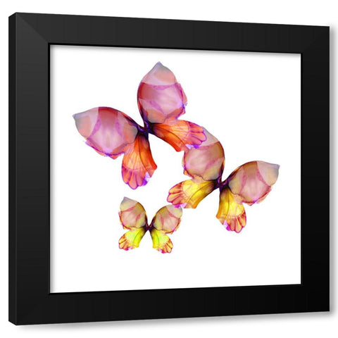 Floral Butterfly Trio Black Modern Wood Framed Art Print with Double Matting by Debs, Emma Catherine