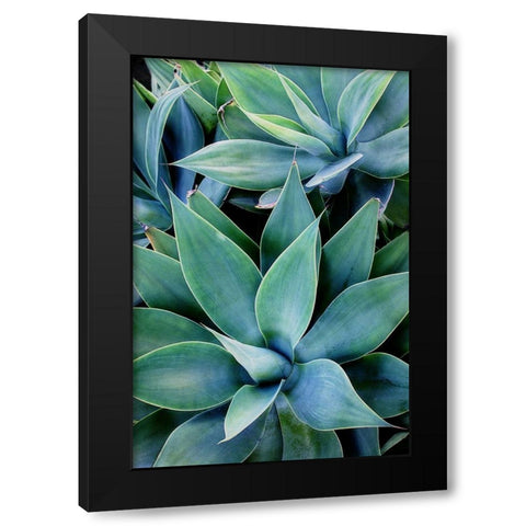 Deep Dive I Black Modern Wood Framed Art Print with Double Matting by Urquhart, Elizabeth