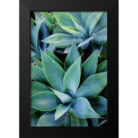 Deep Dive I Black Modern Wood Framed Art Print by Urquhart, Elizabeth