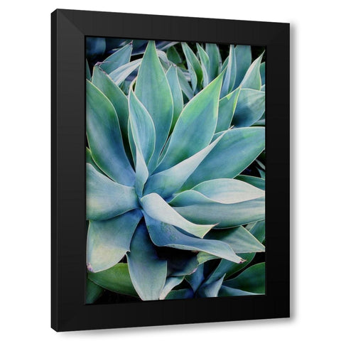 Deep Dive II Black Modern Wood Framed Art Print with Double Matting by Urquhart, Elizabeth