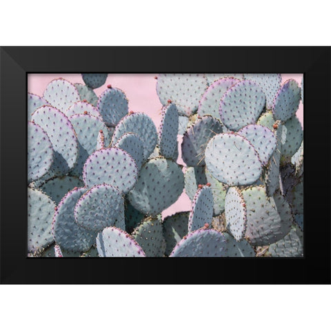 Pink Crush VIII Black Modern Wood Framed Art Print by Urquhart, Elizabeth