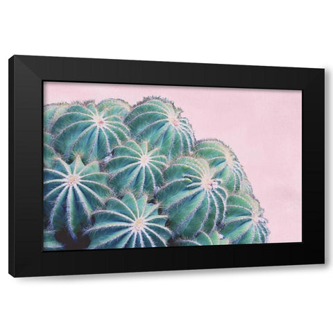 Pink Crush II Black Modern Wood Framed Art Print with Double Matting by Urquhart, Elizabeth