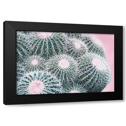 Pink Crush III Black Modern Wood Framed Art Print by Urquhart, Elizabeth