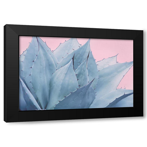 Pink Crush V Black Modern Wood Framed Art Print by Urquhart, Elizabeth