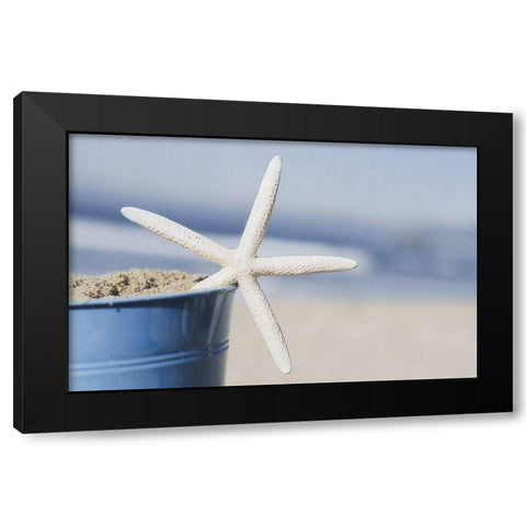 Misty Morning IV Black Modern Wood Framed Art Print by Urquhart, Elizabeth
