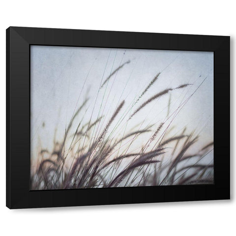 Misty Morning VI Black Modern Wood Framed Art Print by Urquhart, Elizabeth