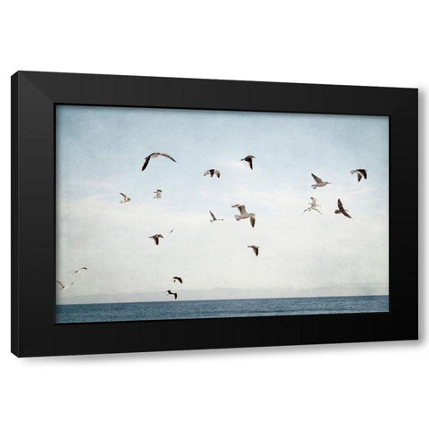 Soar I Black Modern Wood Framed Art Print with Double Matting by Urquhart, Elizabeth