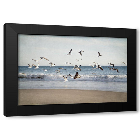 Soar II Black Modern Wood Framed Art Print with Double Matting by Urquhart, Elizabeth