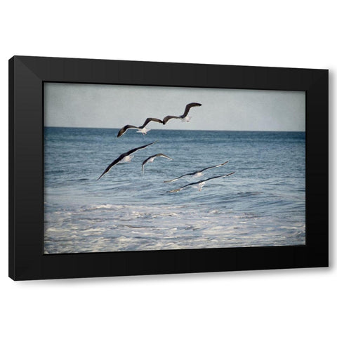Soar III Black Modern Wood Framed Art Print with Double Matting by Urquhart, Elizabeth