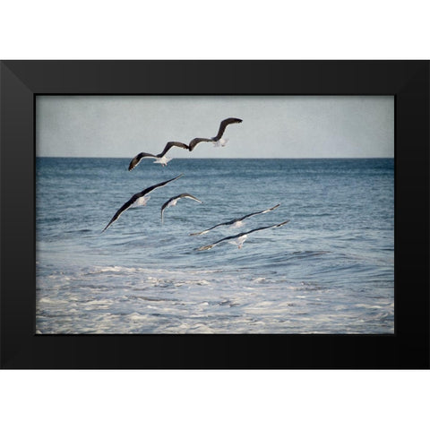 Soar III Black Modern Wood Framed Art Print by Urquhart, Elizabeth