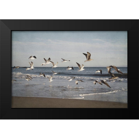 Soar IV Black Modern Wood Framed Art Print by Urquhart, Elizabeth