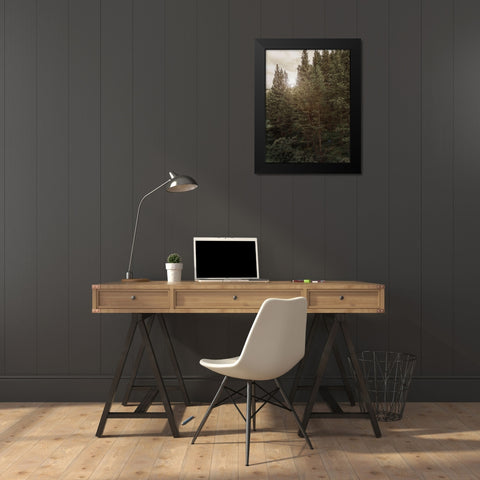 Pine Wilderness 1 Black Modern Wood Framed Art Print by Urquhart, Elizabeth