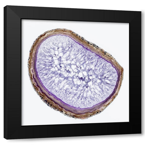 Geode 8 Black Modern Wood Framed Art Print by Urquhart, Elizabeth