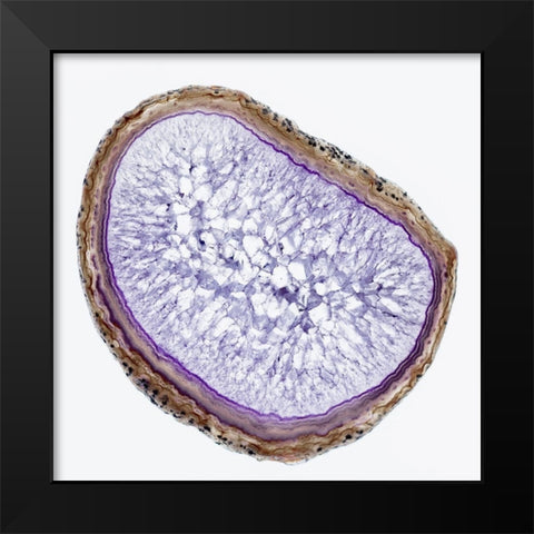 Geode 8 Black Modern Wood Framed Art Print by Urquhart, Elizabeth