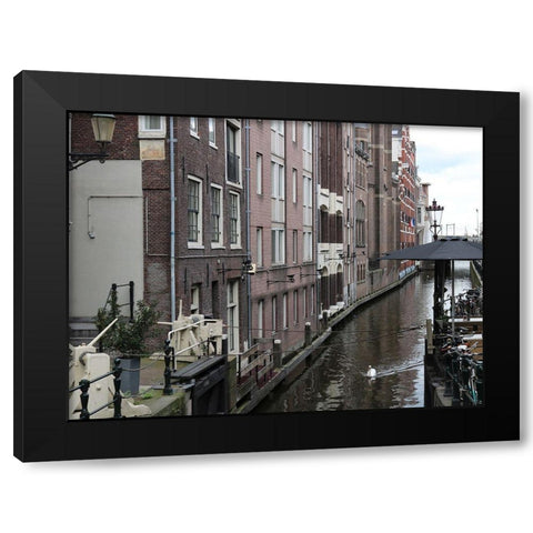 Swan Amsterdam Black Modern Wood Framed Art Print with Double Matting by Frances, Stephanie
