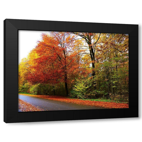 Amsterdam Woods Black Modern Wood Framed Art Print with Double Matting by Frances, Stephanie