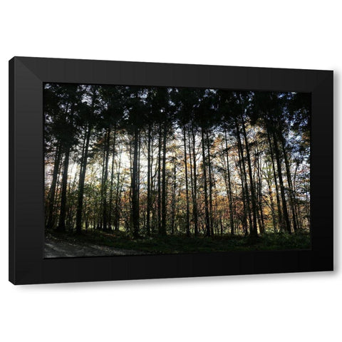 Over There Black Modern Wood Framed Art Print by Frances, Stephanie