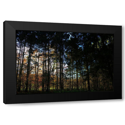 Over There 2 Black Modern Wood Framed Art Print with Double Matting by Frances, Stephanie