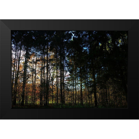 Over There 2 Black Modern Wood Framed Art Print by Frances, Stephanie
