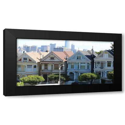 Painted Ladies 1 Black Modern Wood Framed Art Print with Double Matting by Frances, Stephanie