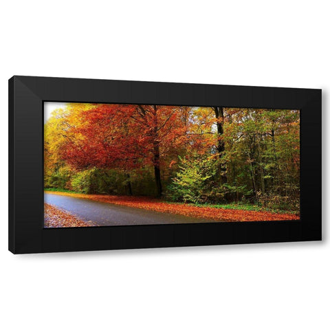 Woods Wanderer 2 Black Modern Wood Framed Art Print with Double Matting by Frances, Stephanie