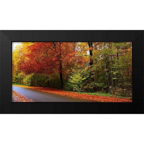 Woods Wanderer 2 Black Modern Wood Framed Art Print by Frances, Stephanie