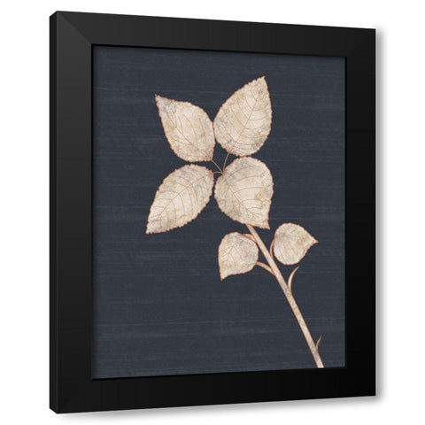 Flower 2 Black Modern Wood Framed Art Print with Double Matting by Gibbons, Lauren