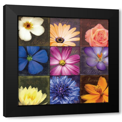 Flower Patch Black Modern Wood Framed Art Print with Double Matting by Gibbons, Lauren