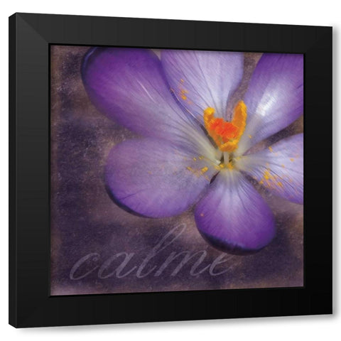 Calm Flower Black Modern Wood Framed Art Print by Gibbons, Lauren