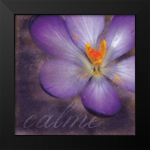 Calm Flower Black Modern Wood Framed Art Print by Gibbons, Lauren