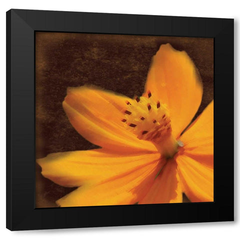 Just The Flower Black Modern Wood Framed Art Print by Gibbons, Lauren
