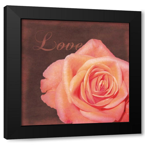 Love Rose Black Modern Wood Framed Art Print by Gibbons, Lauren
