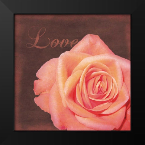 Love Rose Black Modern Wood Framed Art Print by Gibbons, Lauren