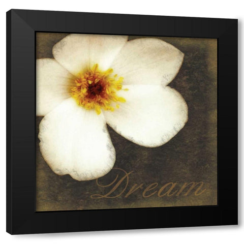 White Dream Flower Black Modern Wood Framed Art Print by Gibbons, Lauren