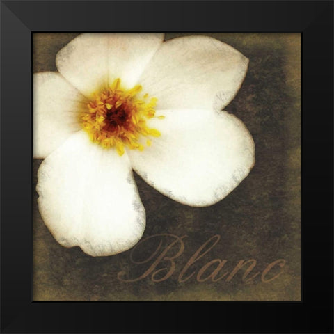 Blanc Flower Black Modern Wood Framed Art Print by Gibbons, Lauren