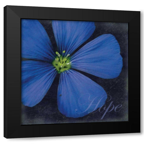 Hope Flower Black Modern Wood Framed Art Print by Gibbons, Lauren