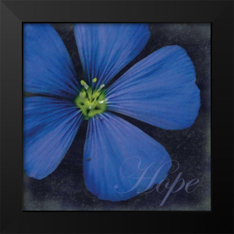 Hope Flower Black Modern Wood Framed Art Print by Gibbons, Lauren