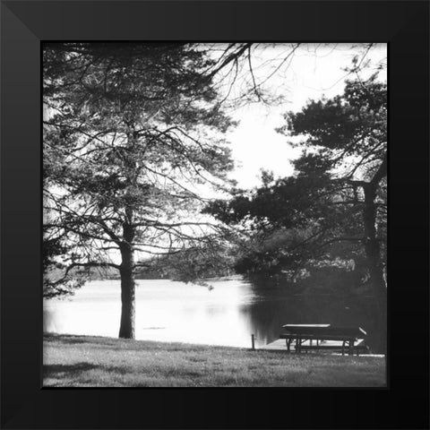 Landscape Black Modern Wood Framed Art Print by Gibbons, Lauren