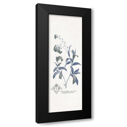 Beautiful Flowers Black Modern Wood Framed Art Print by Grey, Jace