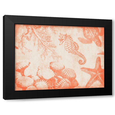 Sea Life in Tangerine 1 Black Modern Wood Framed Art Print with Double Matting by Grey, Jace