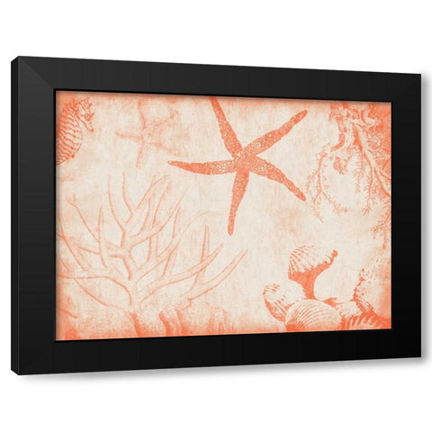 Sea Life in Tangerine 2 Black Modern Wood Framed Art Print with Double Matting by Grey, Jace