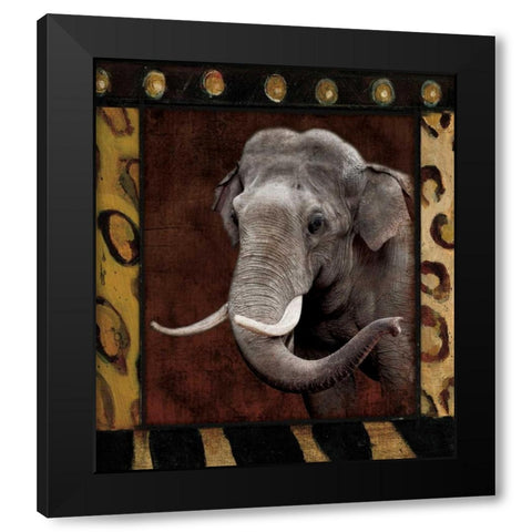 Elephant Bordered Black Modern Wood Framed Art Print with Double Matting by Grey, Jace