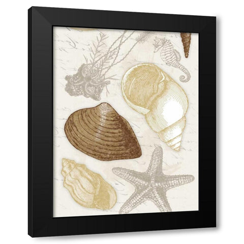 Shells Black Modern Wood Framed Art Print by Grey, Jace