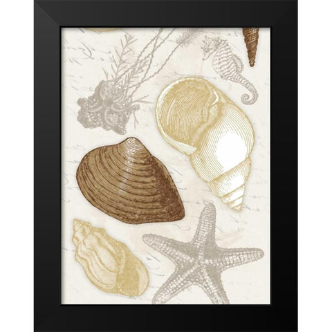 Shells Black Modern Wood Framed Art Print by Grey, Jace