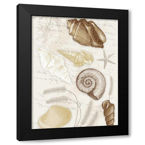 Shells Mate Black Modern Wood Framed Art Print with Double Matting by Grey, Jace