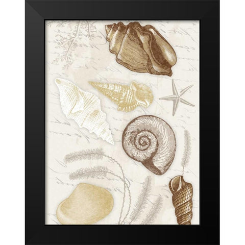 Shells Mate Black Modern Wood Framed Art Print by Grey, Jace