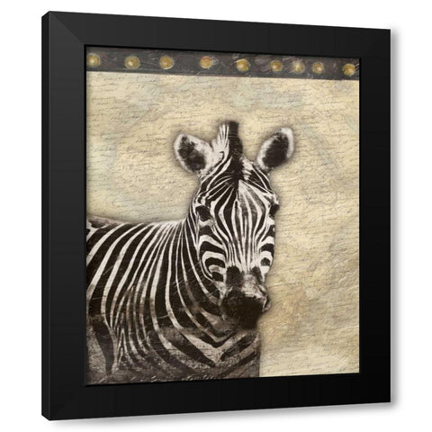 Zebra Africa 2 Black Modern Wood Framed Art Print with Double Matting by Grey, Jace
